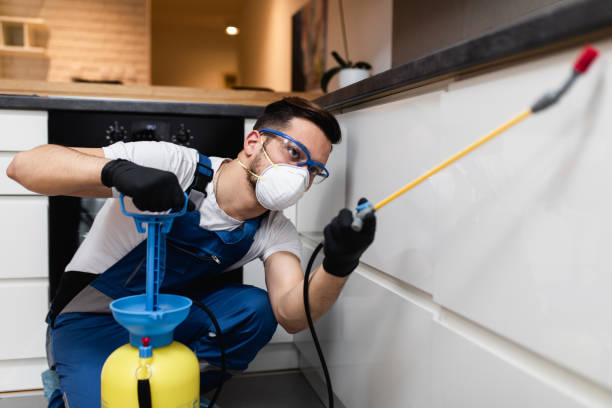Wasp Removal Services in Kirbyville, TX