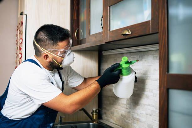  Kirbyville, TX Pest Control Pros