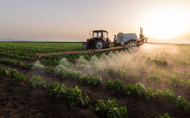 Best Pest Control for Homes  in Kirbyville, TX