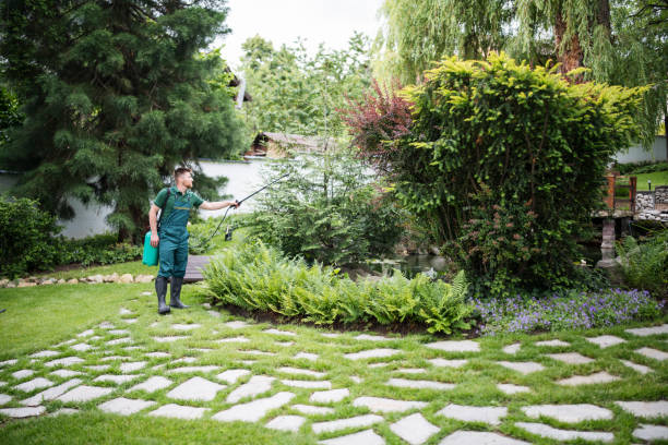 Best Local Pest Control Services  in Kirbyville, TX