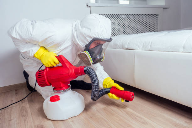 Best Pest Control Near Me in Kirbyville, TX