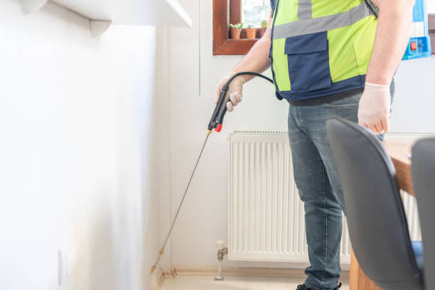 Best Pest Control for Businesses  in Kirbyville, TX