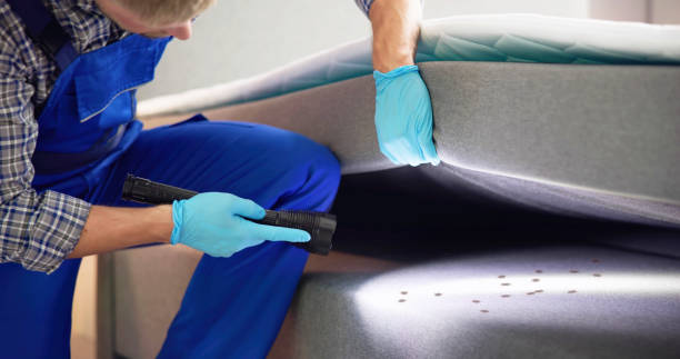 Best Bed Bug Extermination  in Kirbyville, TX