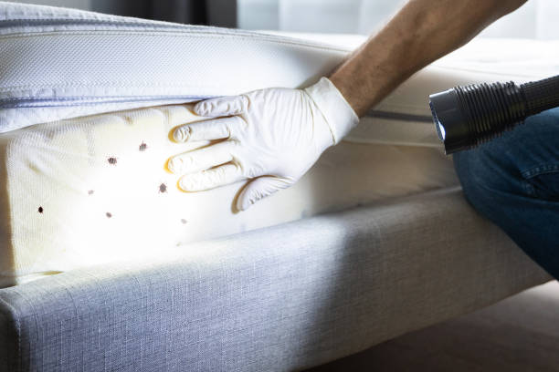 Kirbyville, TX Pest Control Company