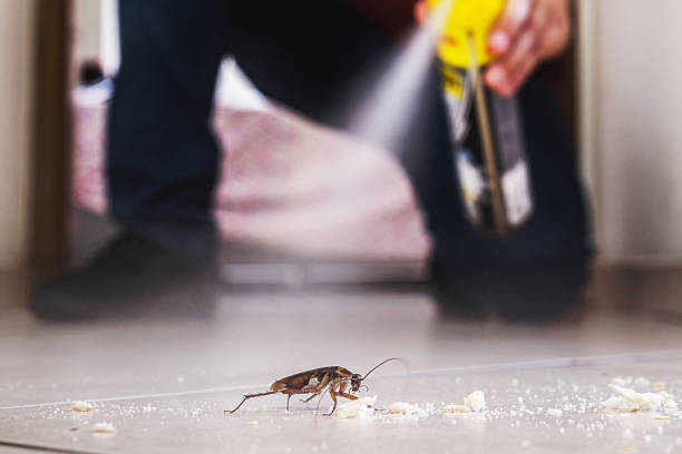 Best Wildlife Control Services  in Kirbyville, TX