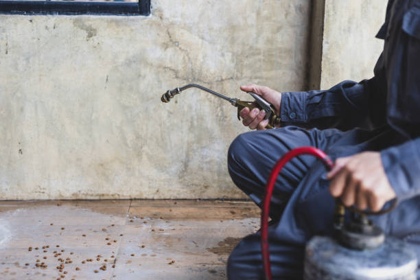 Best Pest Removal Services  in Kirbyville, TX